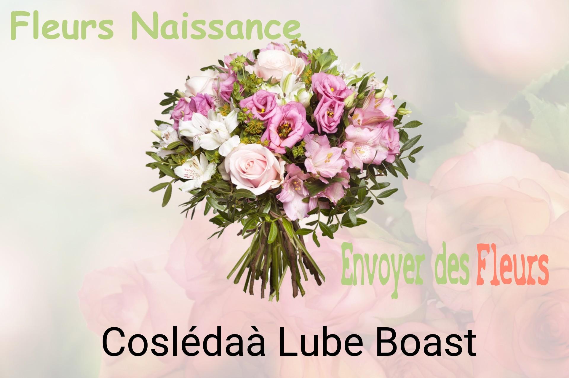 Bouquet de fleurs de naissance livré à Coslédaà-Lube-Boast