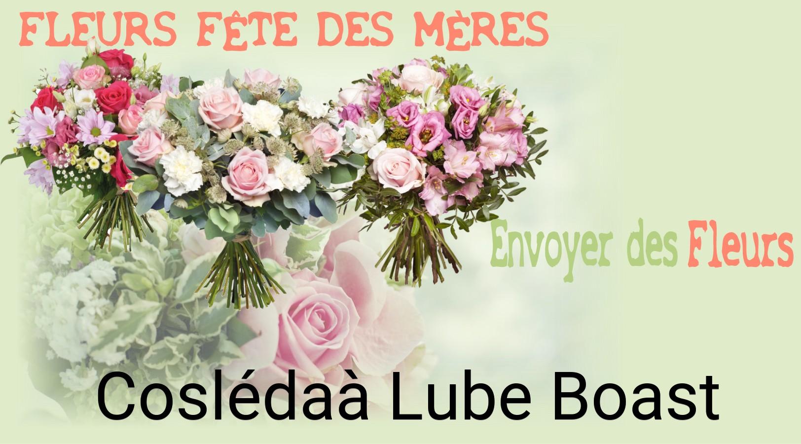 Bouquet de Fête des Mères livré à Coslédaà-Lube-Boast